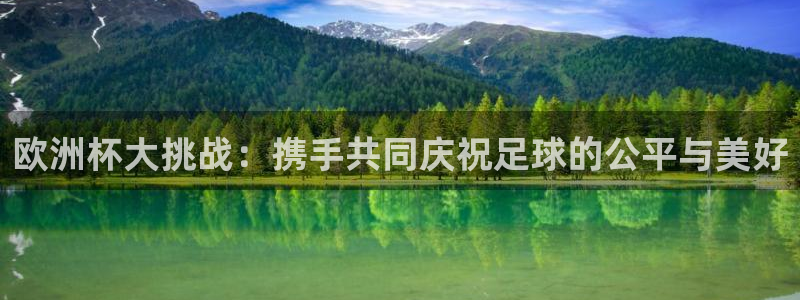 世界杯足球:欧洲杯大挑战:携手共同庆祝足球的公平与美好