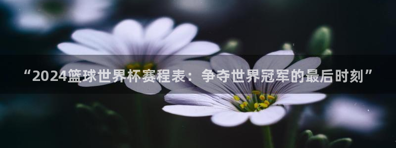 2026世界杯预选赛:“2024篮球世界杯赛程表:争夺世界冠军的最后时刻”