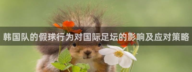 亚洲杯足球:韩国队的假球行为对国际足坛的影响及应对策略