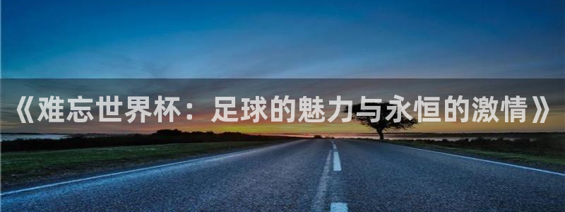 世界杯欧洲预选赛赛程:《难忘世界杯:足球的魅力与永恒的激情》