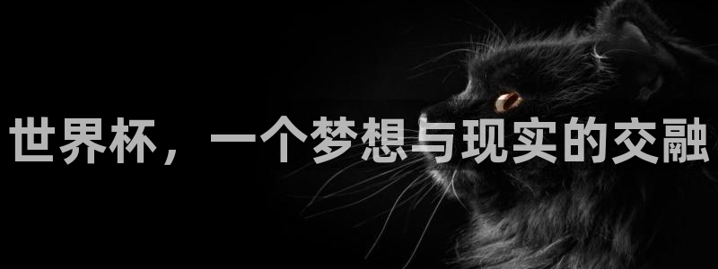 26世界杯:世界杯,一个梦想与现实的交融