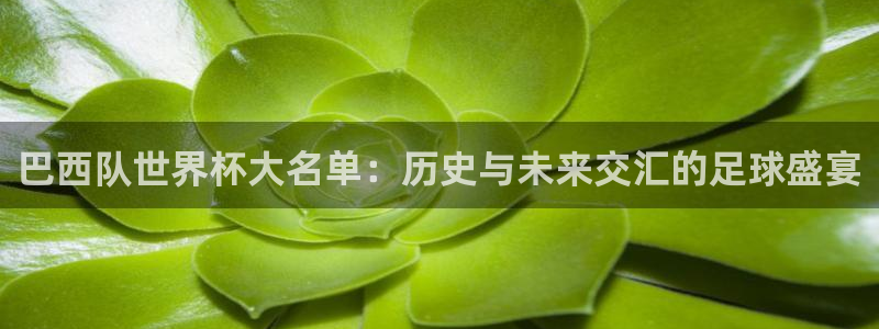 免费足球比赛直播高清