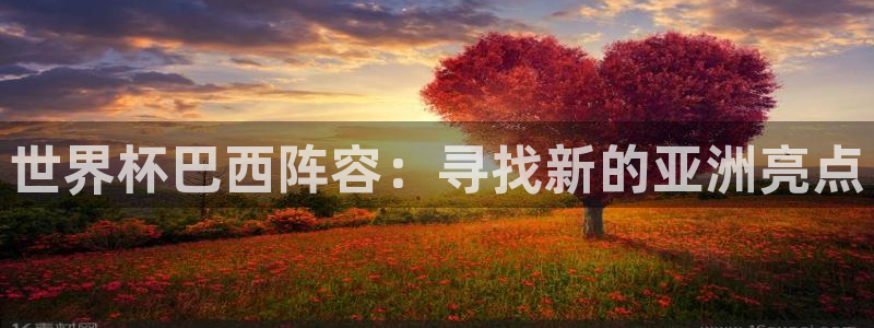 足球世预赛