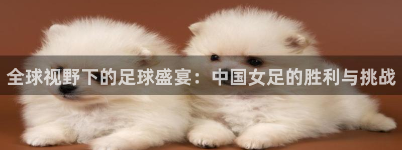 世界杯直播:全球视野下的足球盛宴:中国女足的胜利与挑战