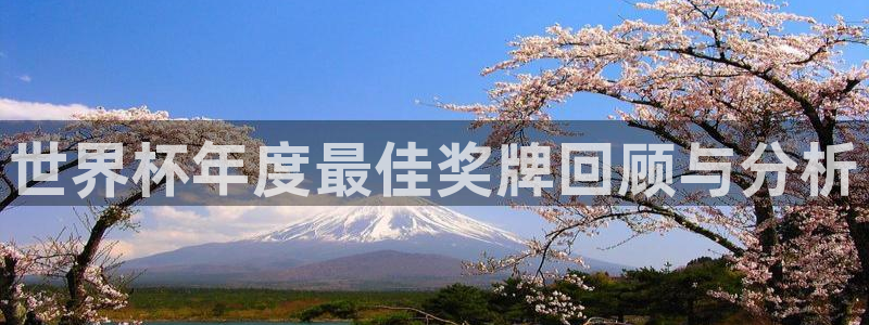 世界杯直播网站:世界杯年度最佳奖牌回顾与分析