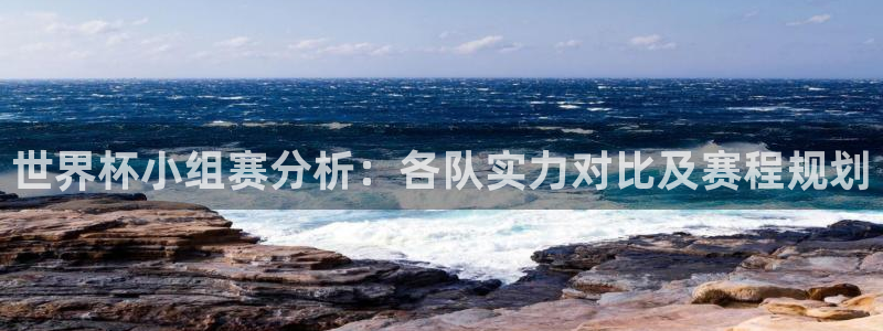 2006年世界杯冠军:世界杯小组赛分析:各队实力对比及赛程规划