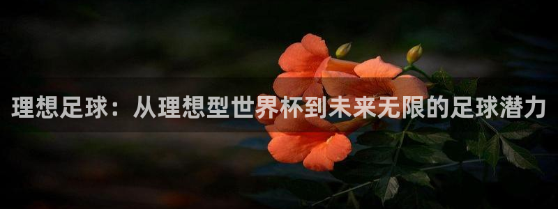 2006世界杯:理想足球:从理想型世界杯到未来无限的足球潜力